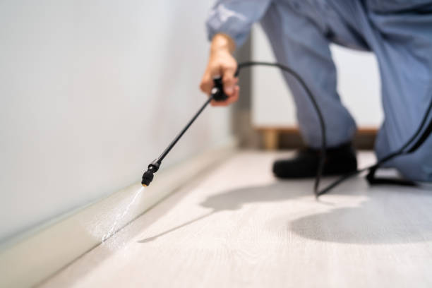 Licensed Pest Control service in Idaho Springs, CO - Show Me Pest Control