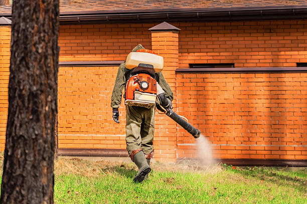 Bed Bug Clearance Verification and Documentation in Idaho Springs